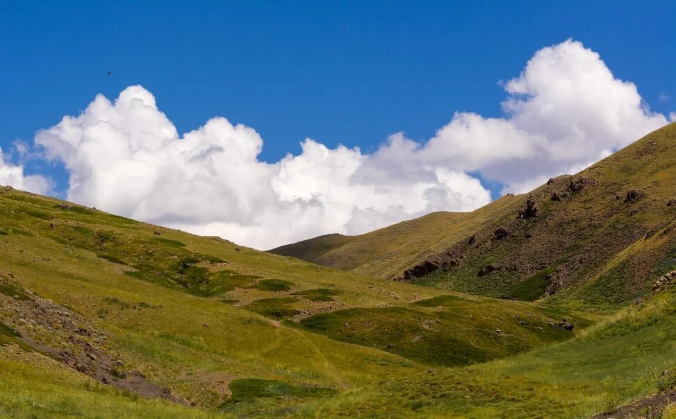 Soft green rolling hills under a wide sky